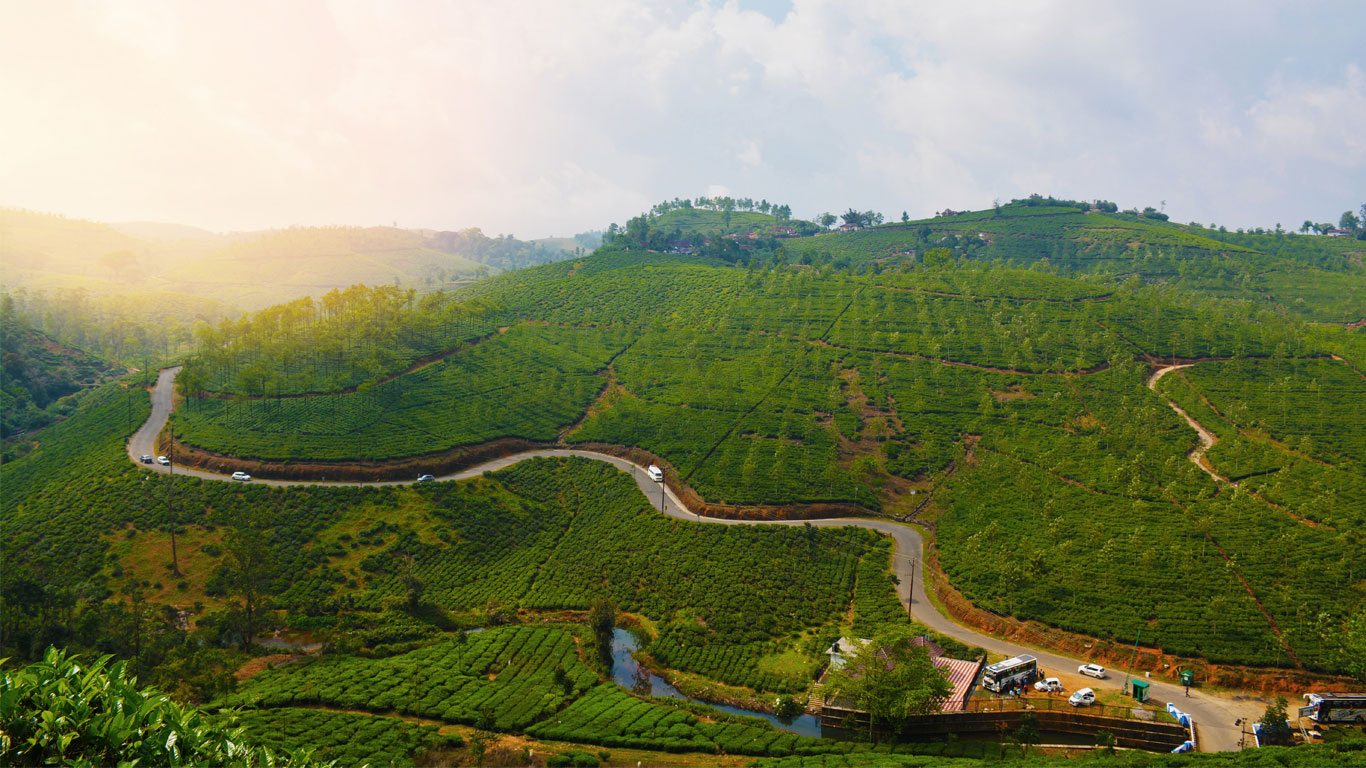 vagamon-hill-station-in-kerala-idukki